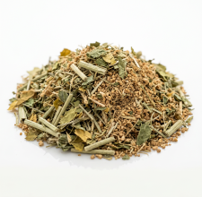 magnific_panax-ginseng-aerial-extr_swffBwBl8e.png